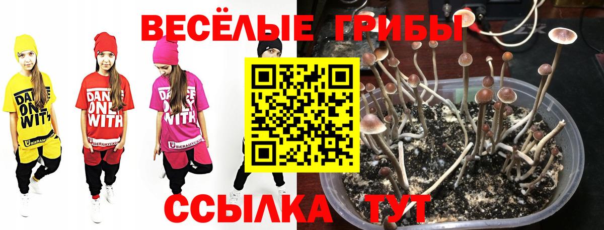 Псилоцибиновые грибы мухоморы  Вход с VPN  наркота  Донецк 
